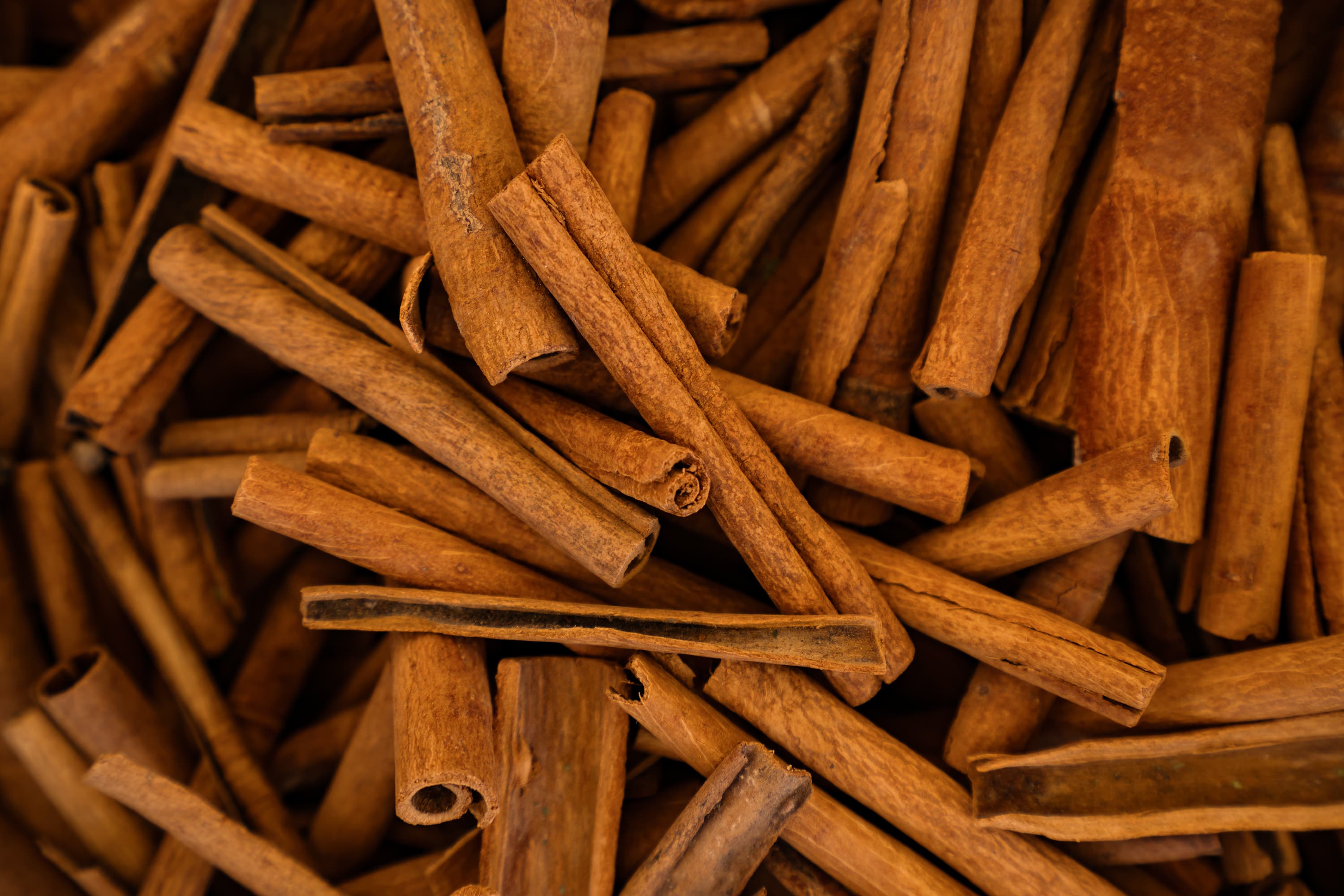 Cinnamon - Premium quality spice from Sri Lanka